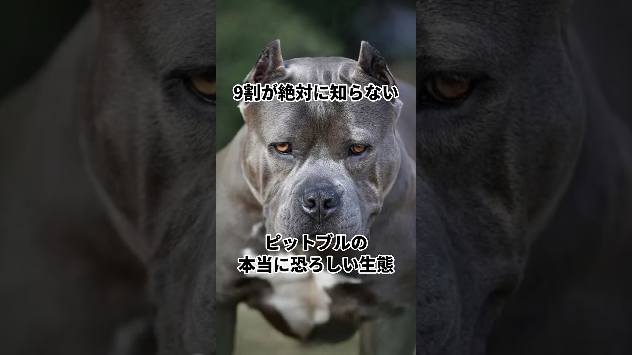 1755258414_maxresdefault-2119191-1604205-jpg